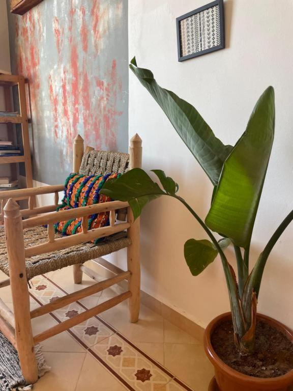 Surf Camp Essaouira Bed and Breakfast Exterior foto